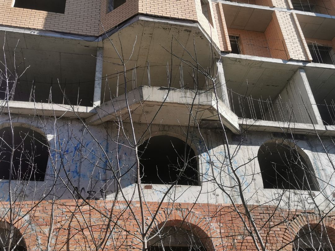 Подольск, долгострой, дом