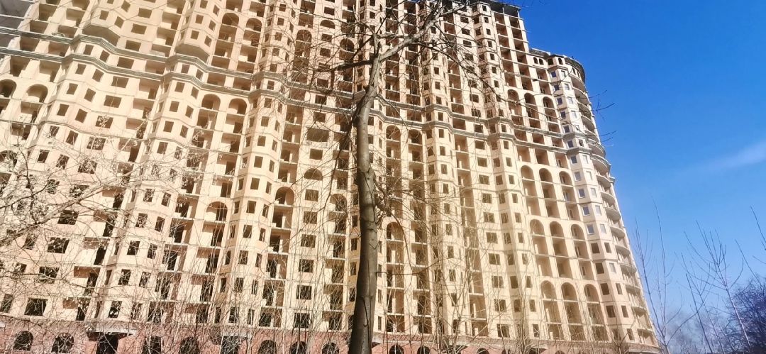 Подольск, долгострой, дом