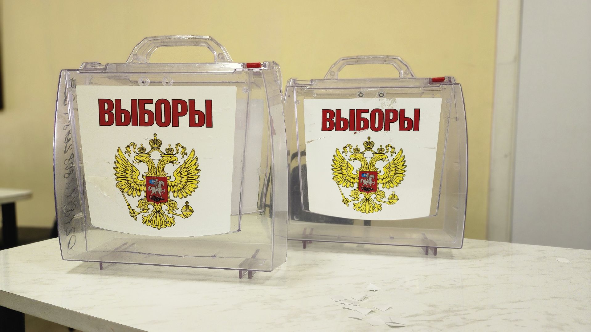 выборы, выборы президента 2024, Лосино-Петровский, выборы 2024, выборы президента, выборы президента россии,