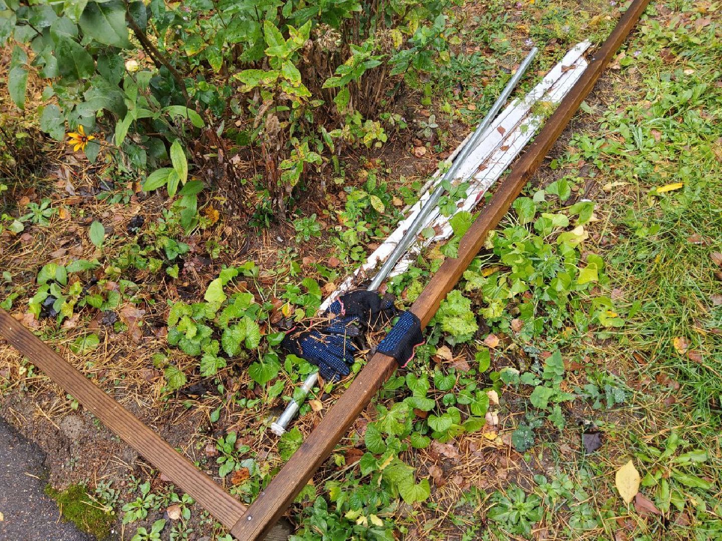 старая купавна, богородский городской округ, выездная администрация,