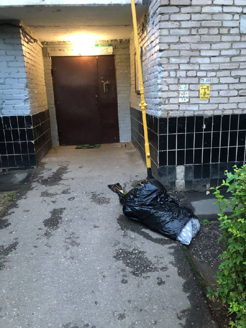 старая купавна, богородский городской округ, выездная администрация,