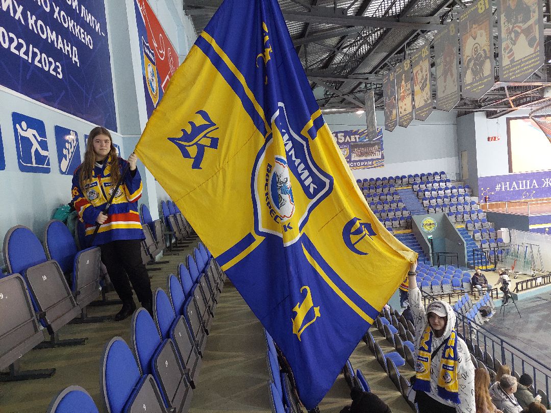 спорт, хоккей, тренировка, Воскресенск