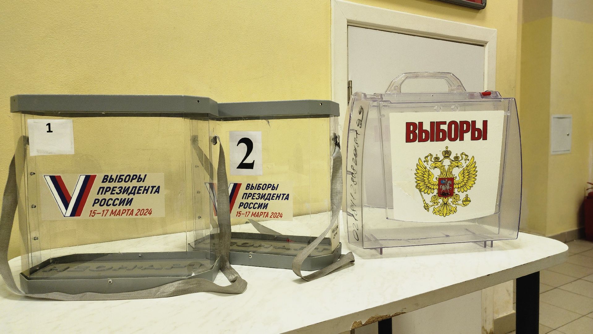 выборы, выборы президента 2024, Лосино-Петровский, выборы 2024,