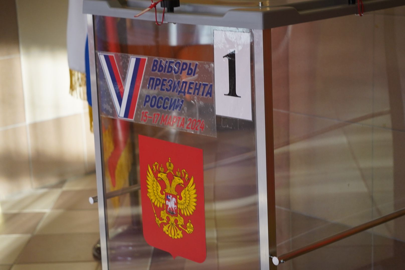 Выборы, Городской округ Павловский Посад, Люди, Электрогорск, Дэг, Голосование,