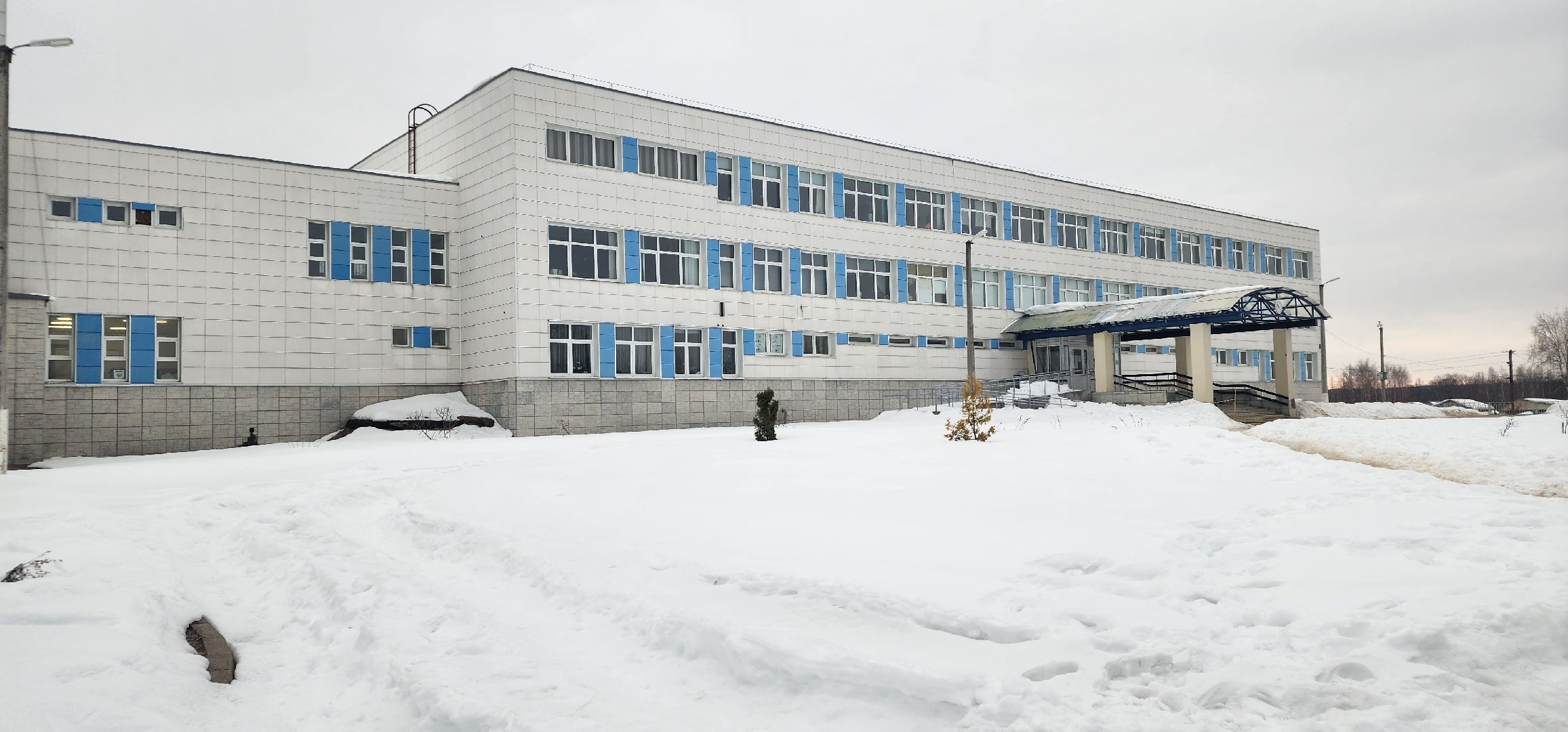 Рошаль, уик, выборы, выборы 2024, выборы президента 2024, Большая Шатура,