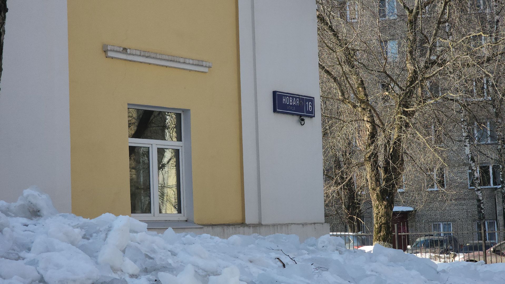 Реутов, выборы 2024, Президент, голосование,самбо, Михаил Илинич, дзюдо,