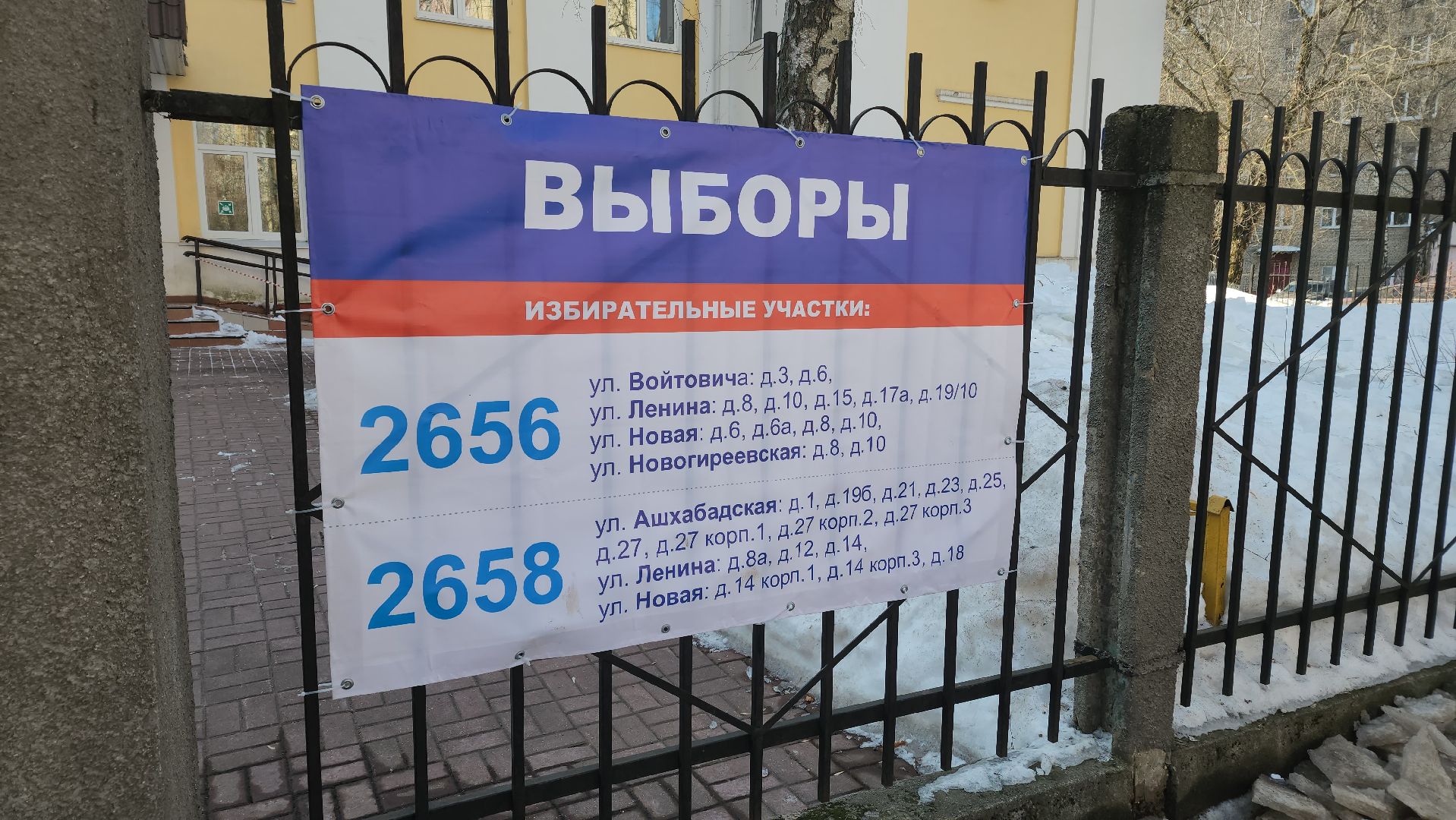 Реутов, выборы 2024, Президент, голосование,самбо, Михаил Илинич, дзюдо,
