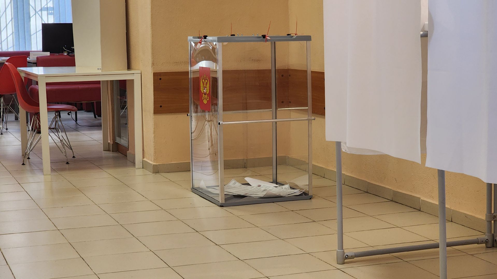 долгопрудный, выборы президента 2024, библиотека, РГСУ,