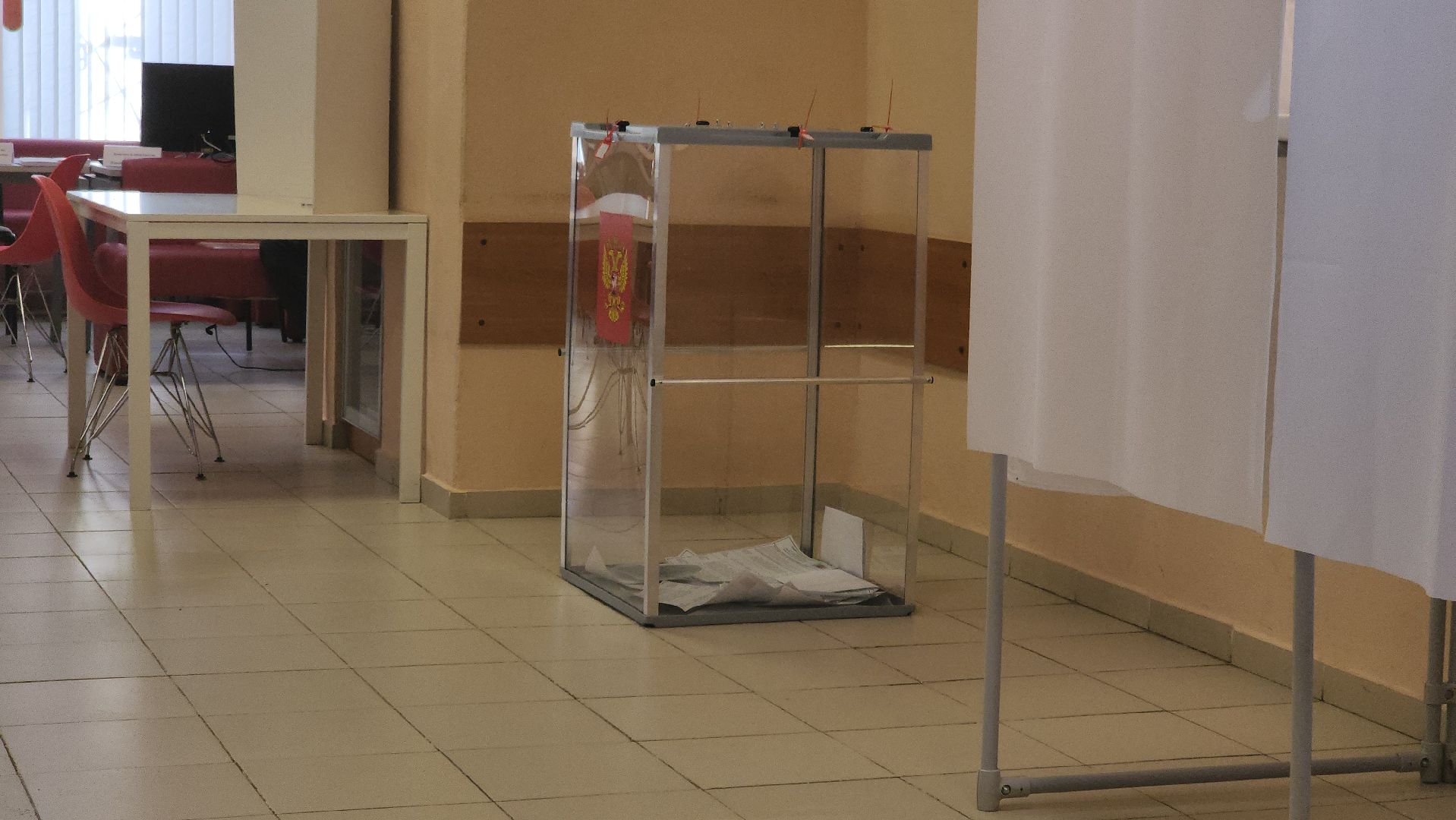 долгопрудный, выборы президента 2024, библиотека, РГСУ,