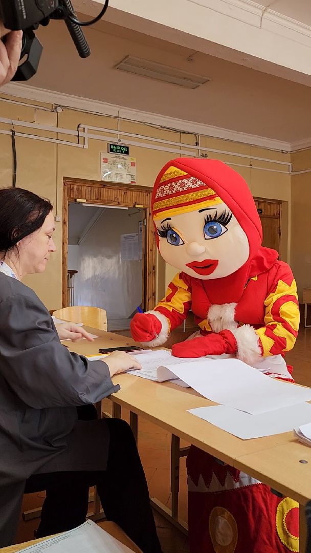 Красногорск, красногорушка, выборы, избирательный участок,