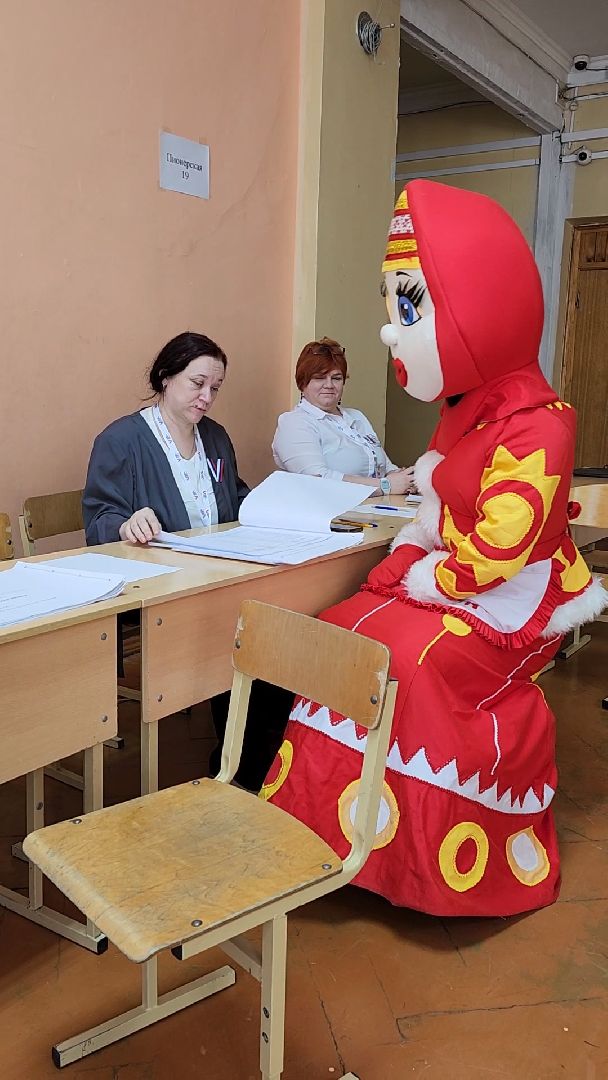 Красногорск, красногорушка, выборы, избирательный участок,