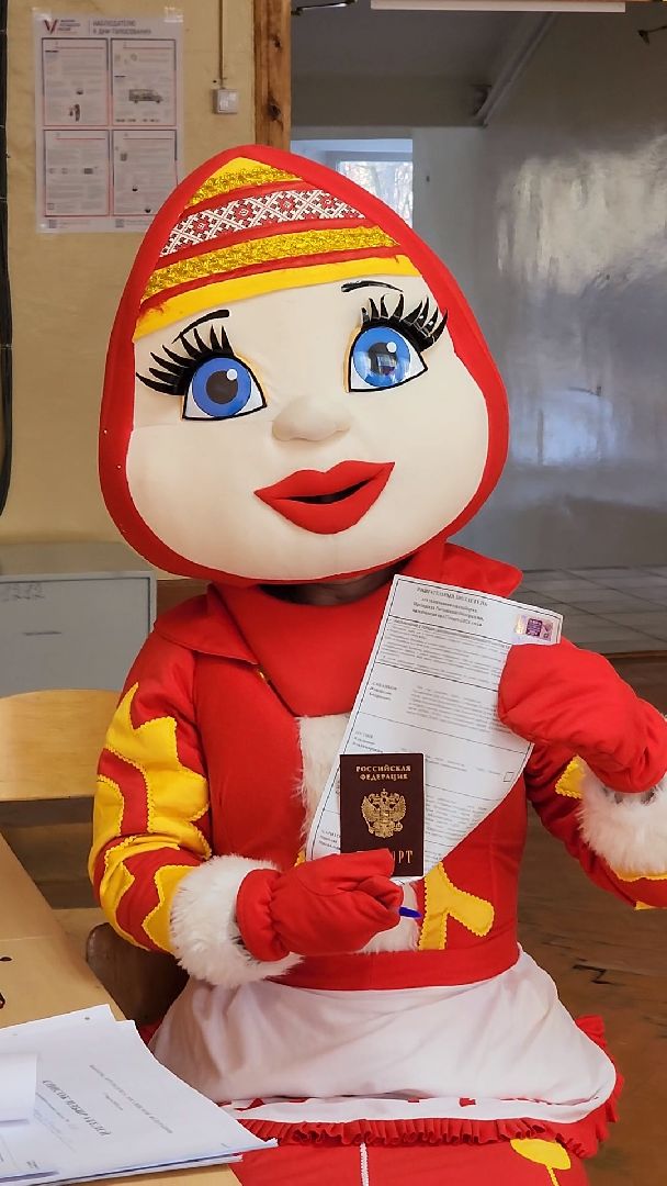 Красногорск, красногорушка, выборы, избирательный участок,