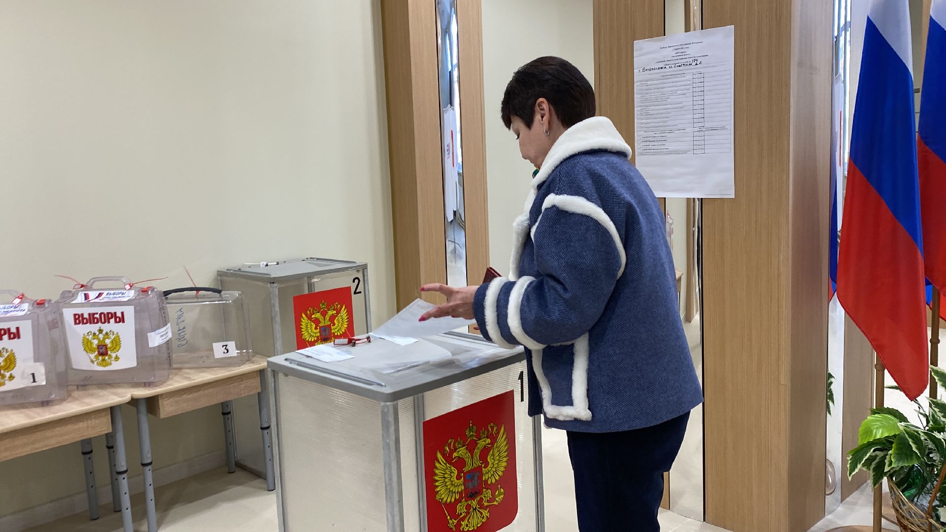 волоколамск, выборы, выборы 2024, выборы президента, выборы президента 2024,