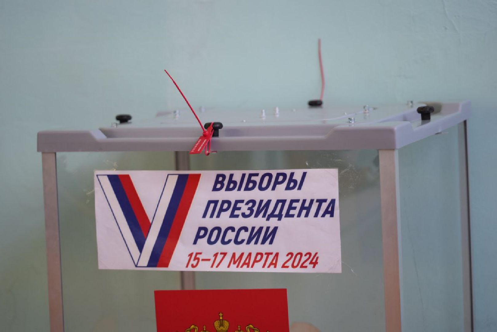 Выборы 2024, Подмосковье выбирает, Гражданская позиция, Выборы Президента,