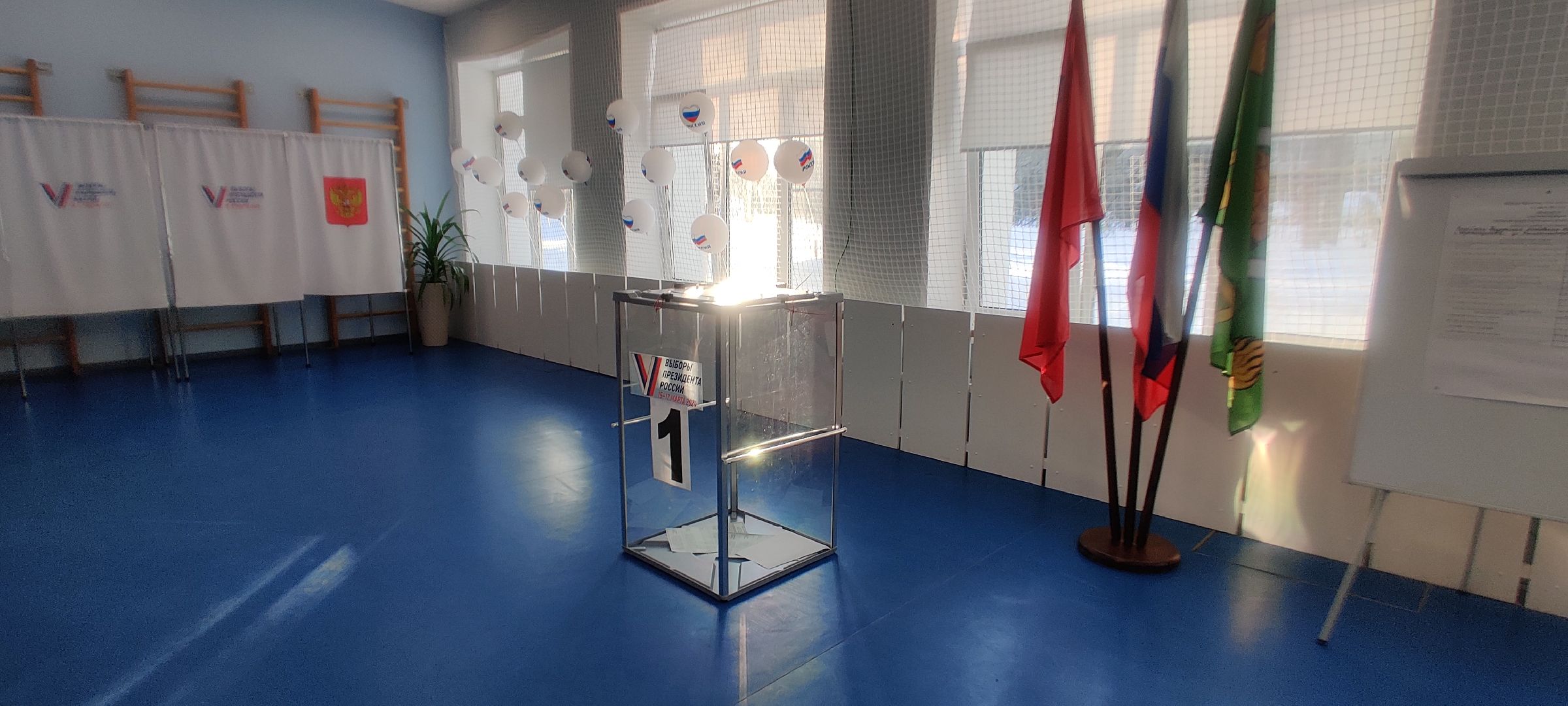 красноармейск, г.о. пушкинский, выбооры президента, доброволец СВО,