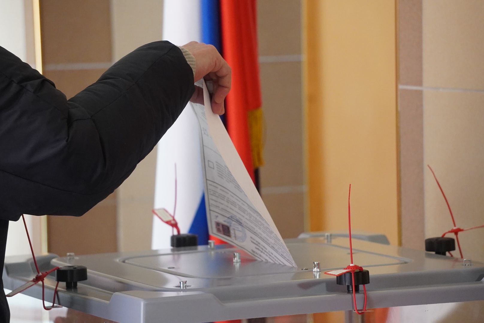 Глава, Выборы, Дэг, Городской округ Павловский Посад, Электрогорск,