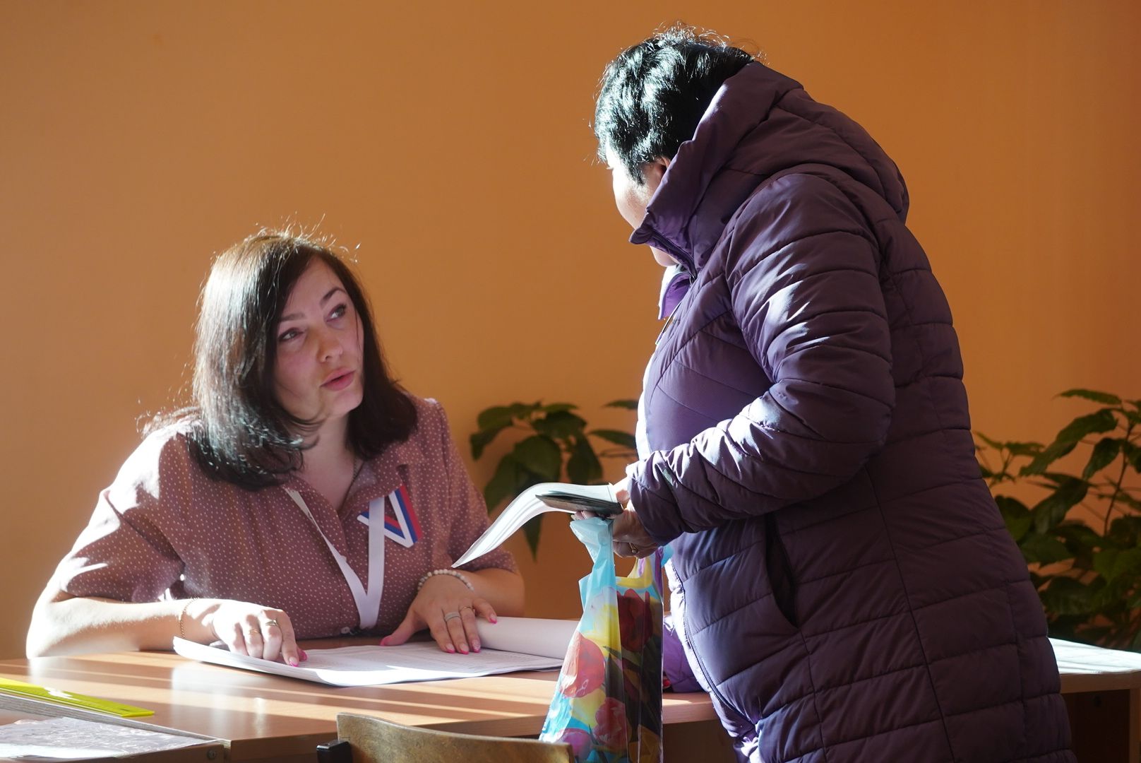 Глава, Выборы, Дэг, Городской округ Павловский Посад, Электрогорск,