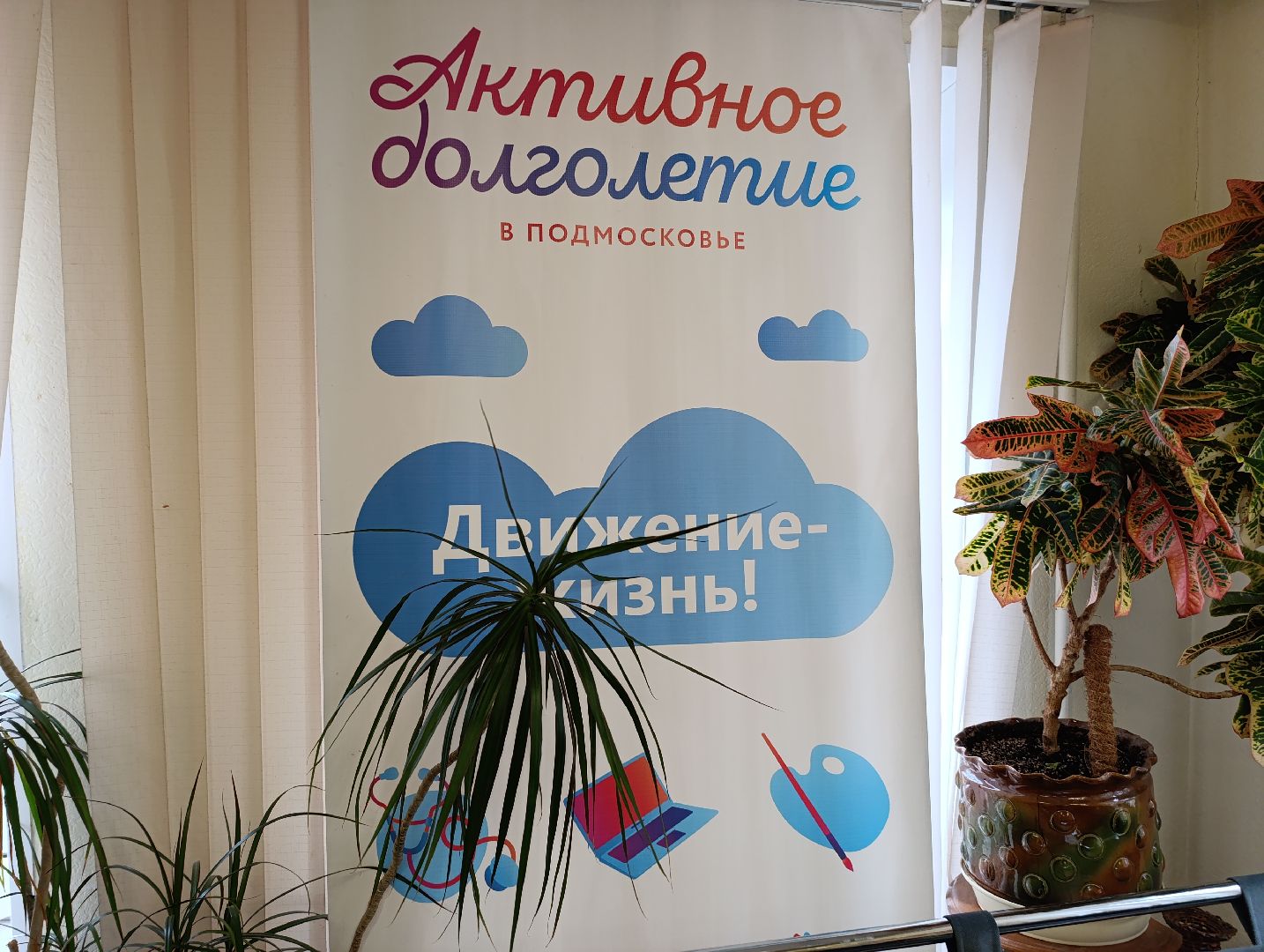 Бронницы, Письмо солдату, Неделя добрых дел, Активное долголетие,