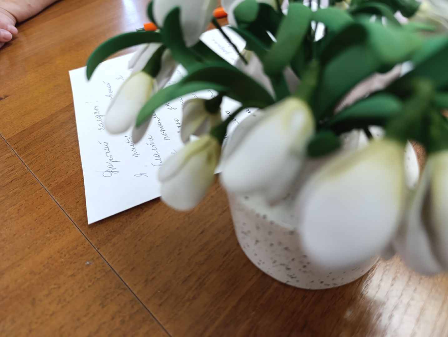 Бронницы, Письмо солдату, Неделя добрых дел, Активное долголетие,