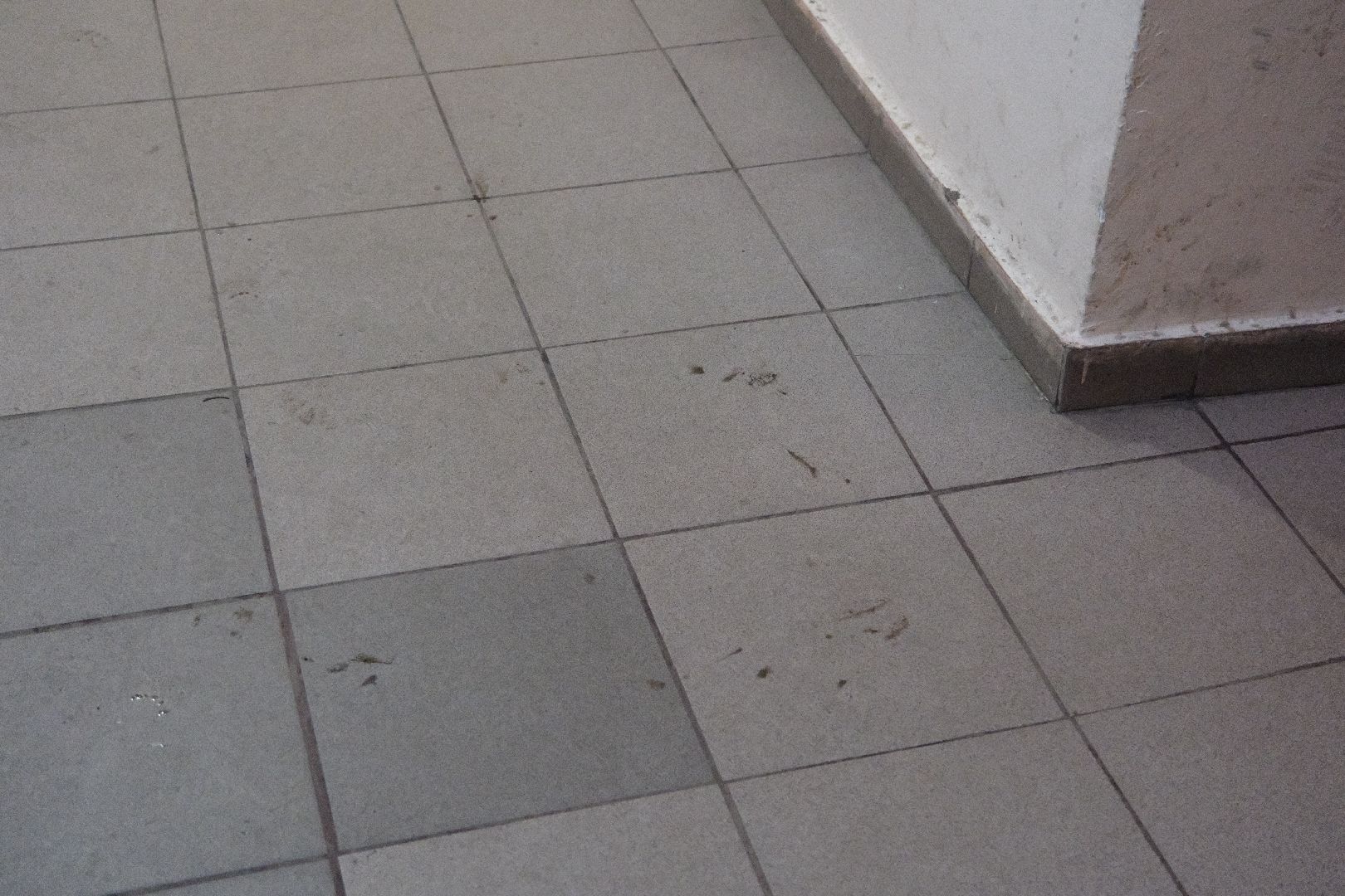 лыткарино, выездная администрация,