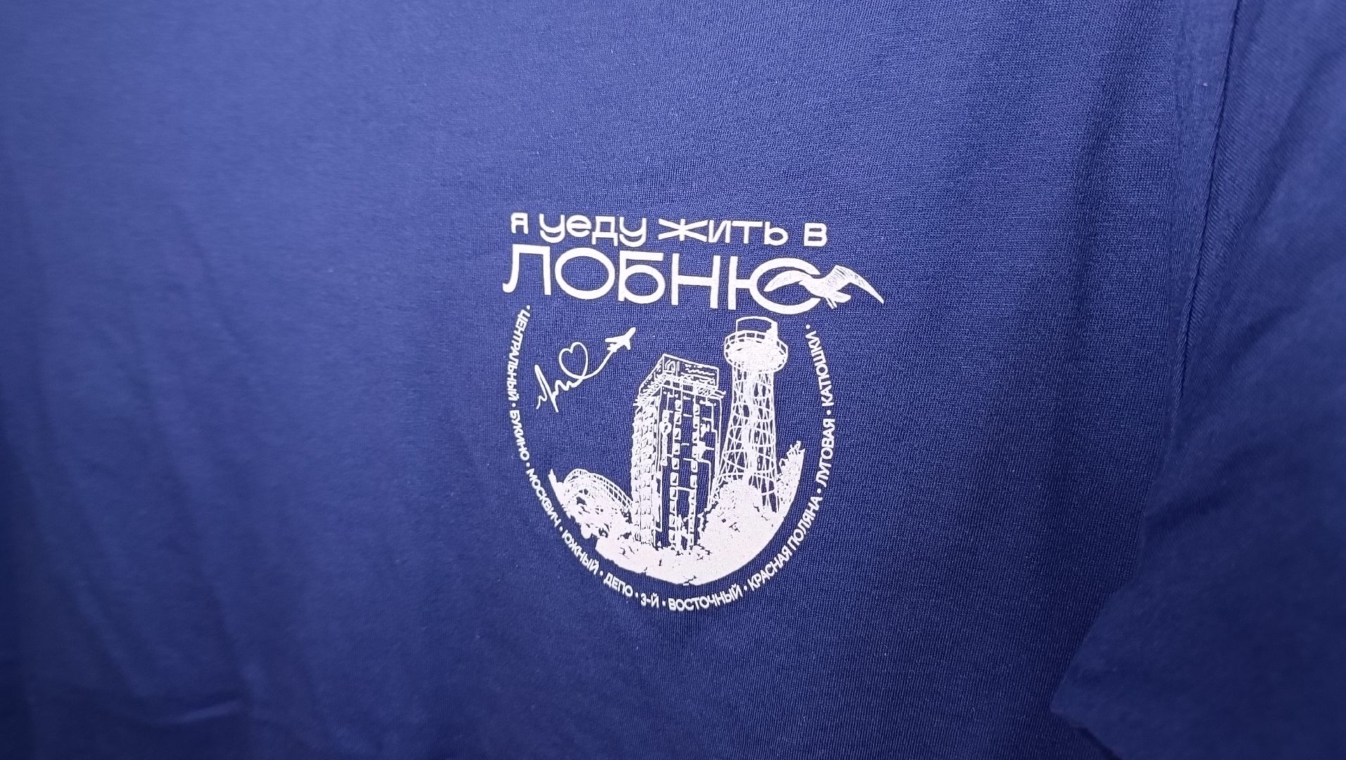 выборы 2024, лепс, лобня,