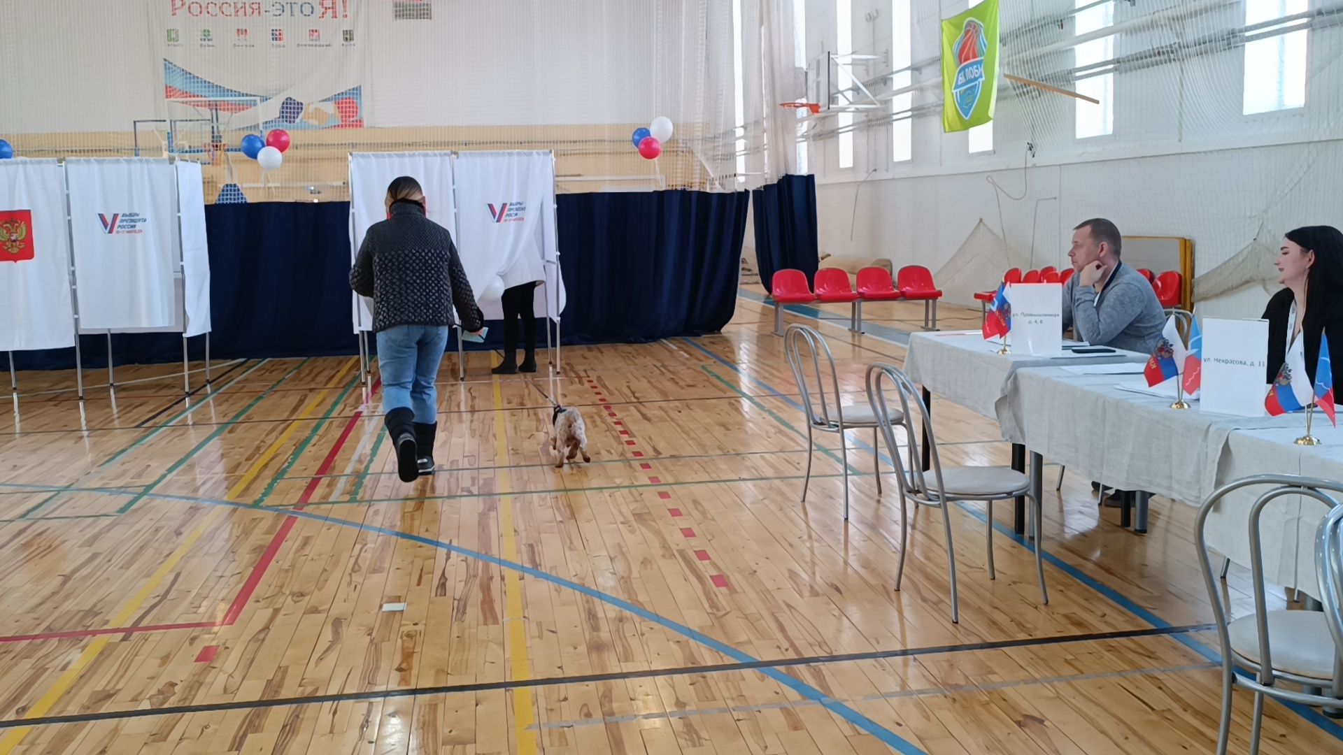 выбооры президента, собака, лобня,