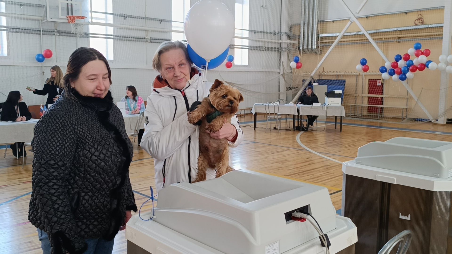 выбооры президента, собака, лобня,