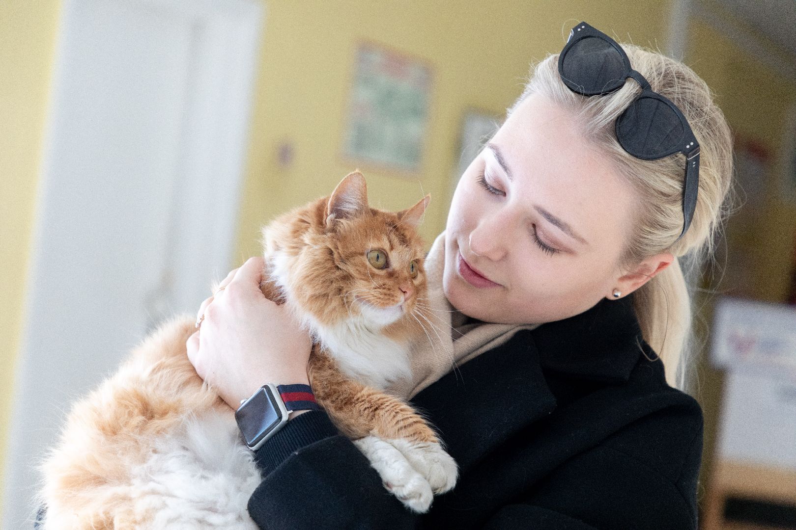 лыткарино, выборы, выборы президента 2024, кошка, наблюдатель,