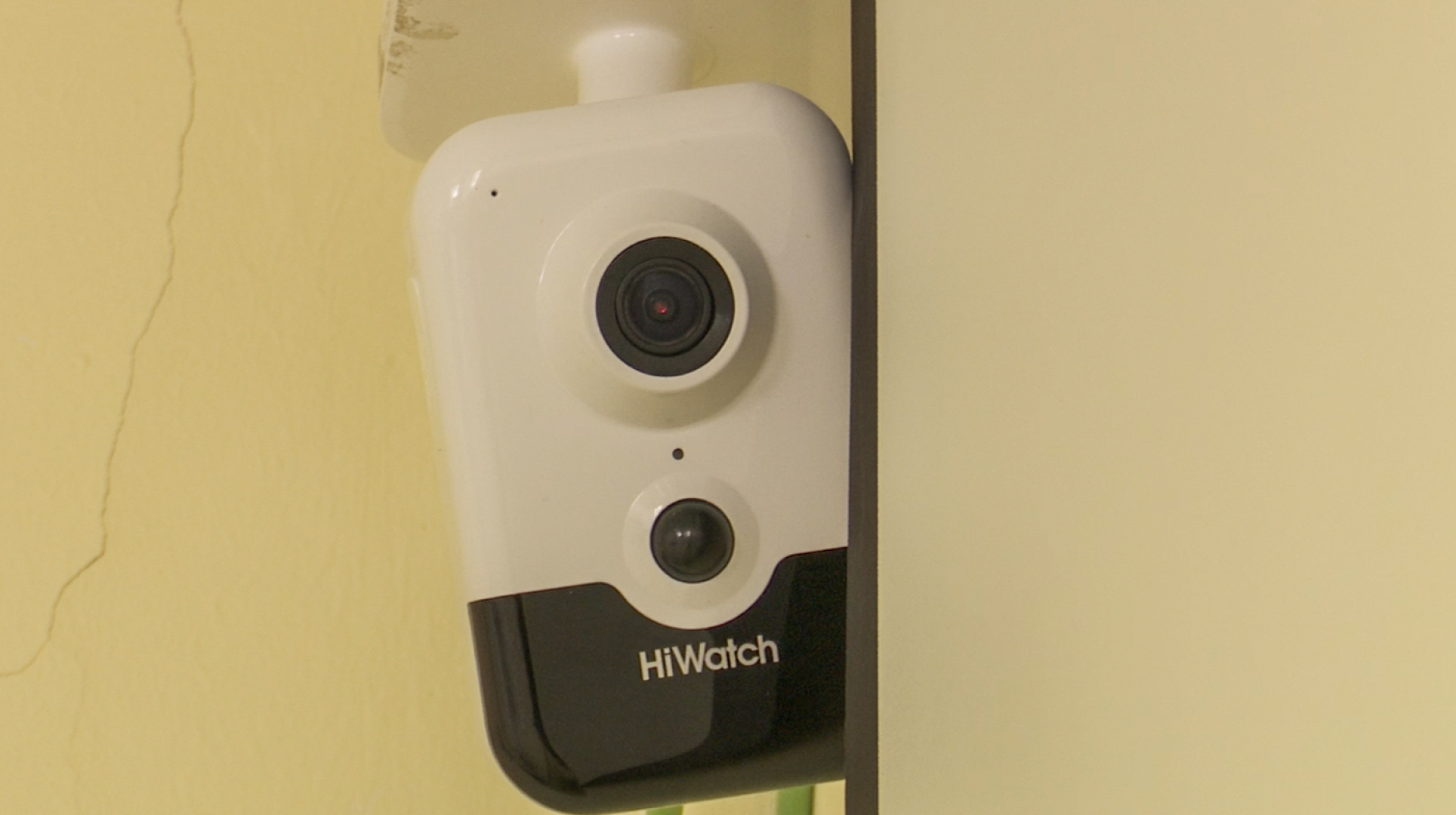 Клин, общество, люди, голосование, ДЭГ, выборы, выборы президента 2024,