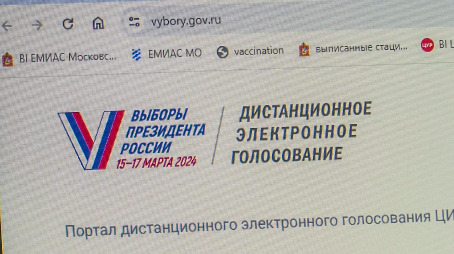 Клин, общество, люди, голосование, ДЭГ, выборы, выборы президента 2024,