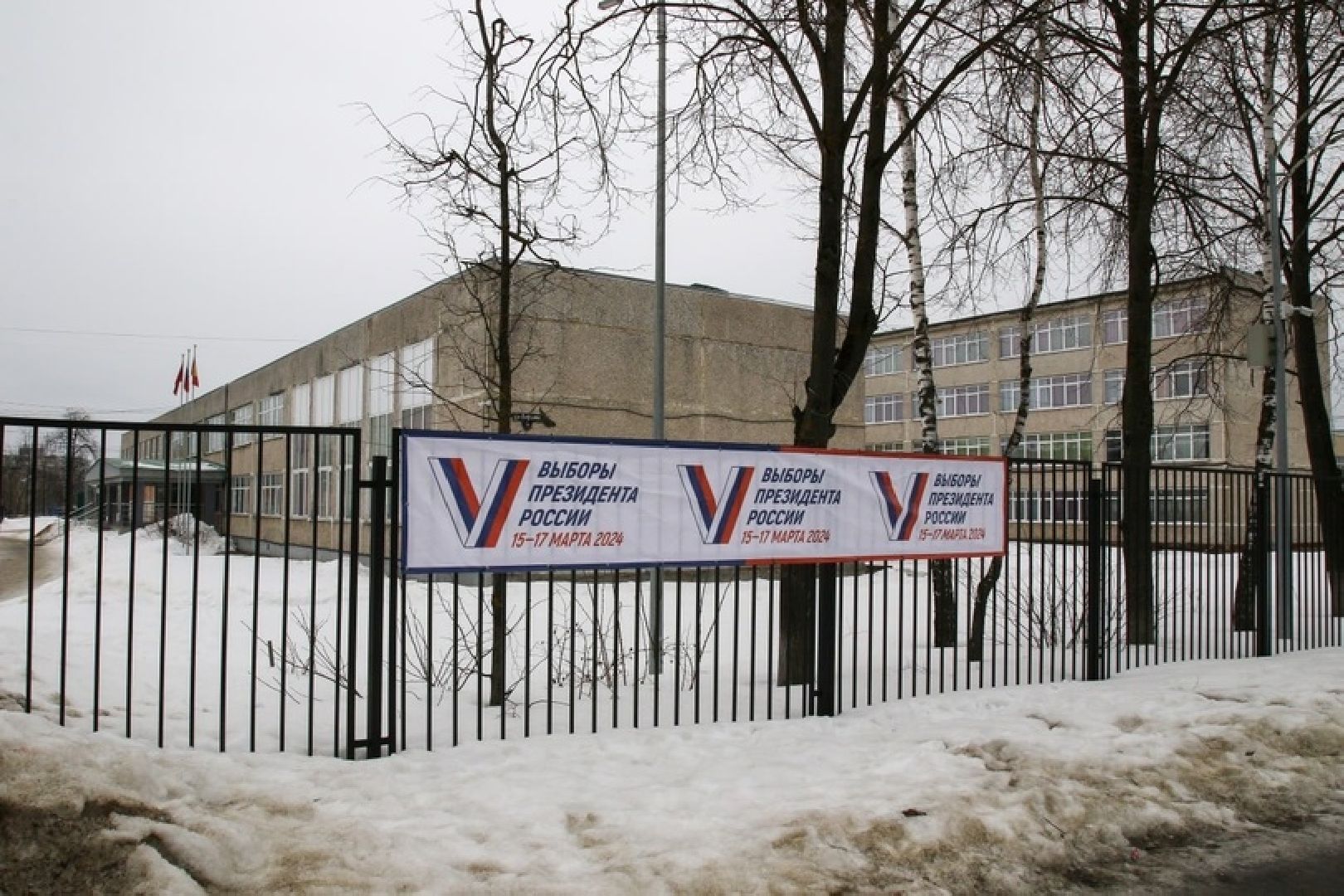 серпухов, подмосковье, выборы 2024, медведь на выборах,