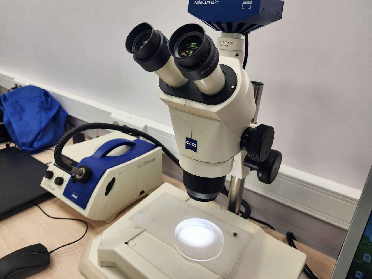 пущино, выборы,выборы 2024, выборы президента россии,