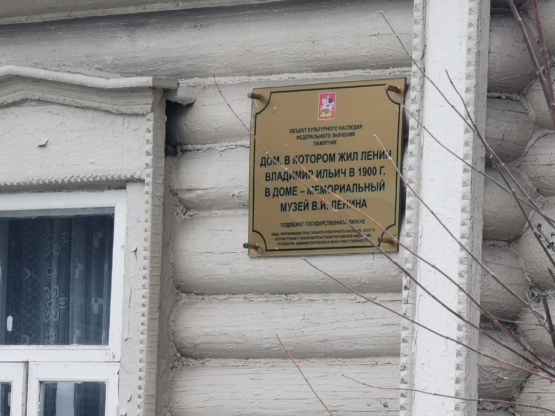 Подольск, кошка, культура