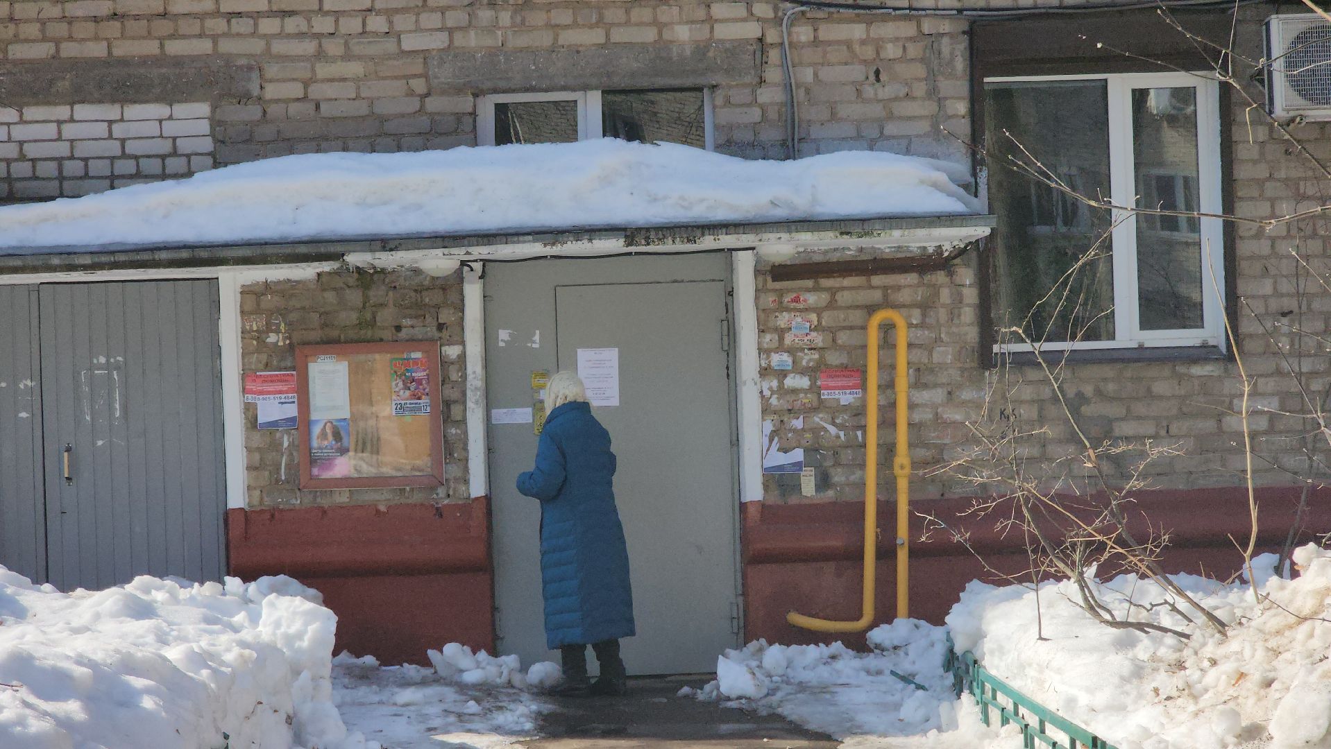 выборы президента 2024, дкба, ветераны,