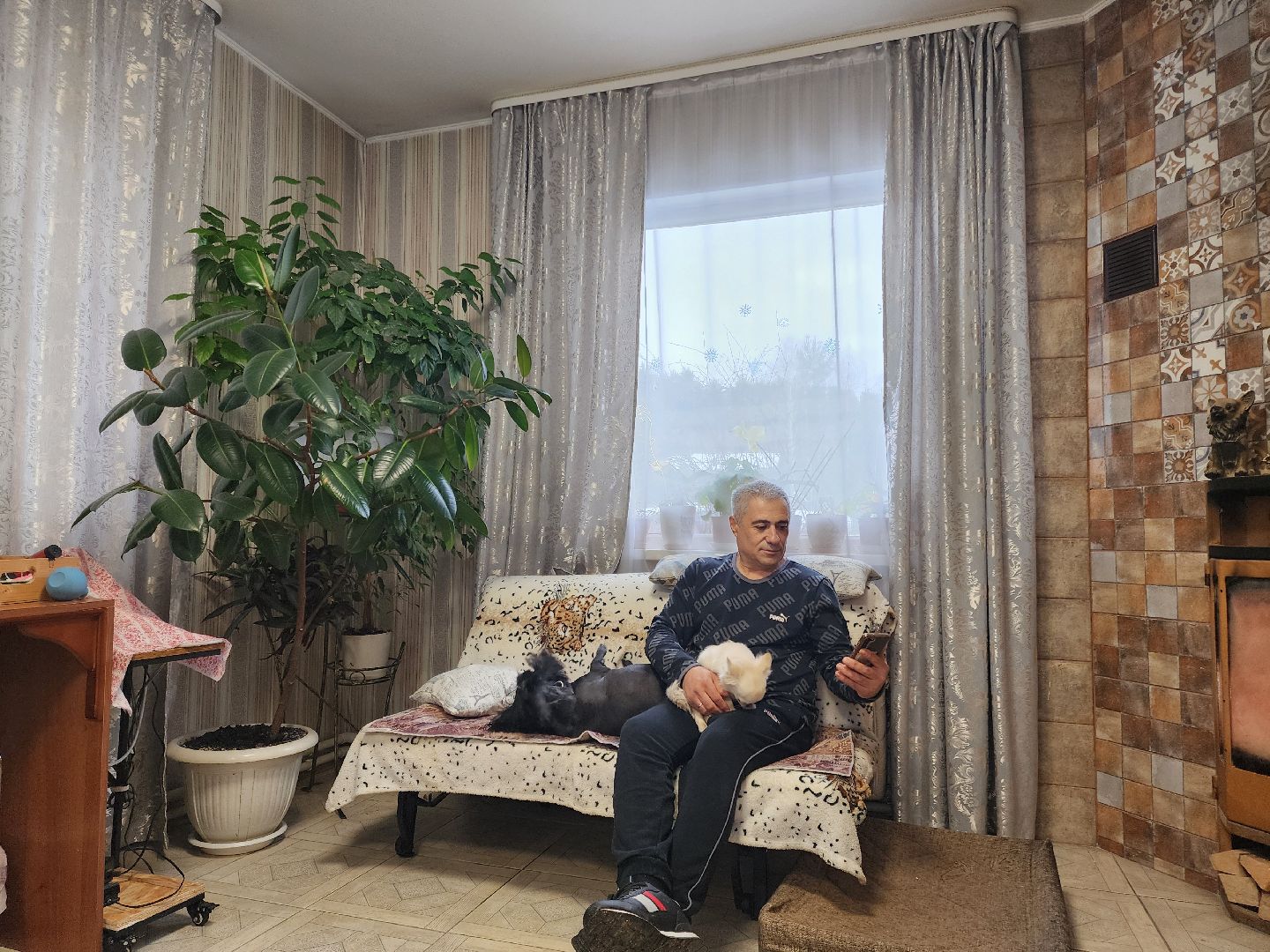 Подольск, игорь айрапетян, Зоозащитник, голосование 2024, выборы президента 2024,