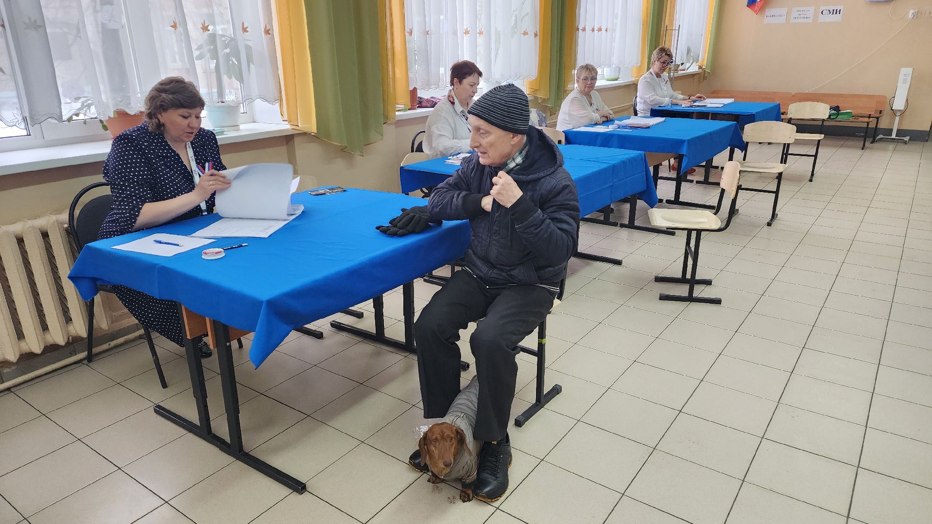 Подмосковье, Ивантеевка, Городской округ Пушкинский, Образование, выборы президента 2024,