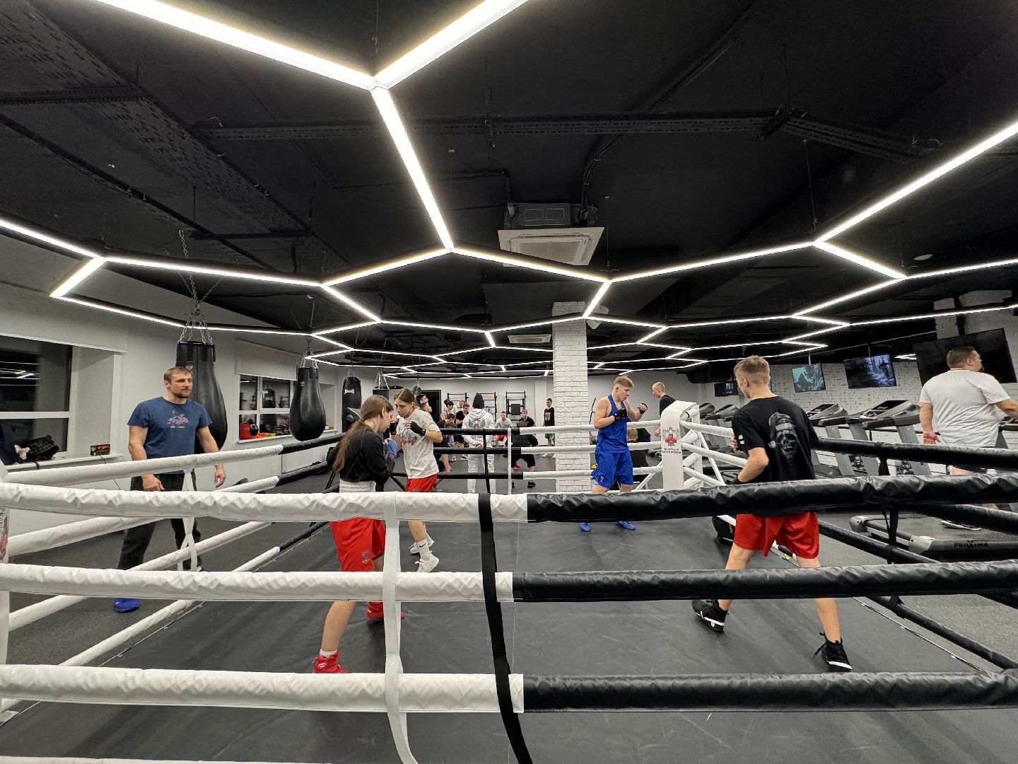 Одинцово, Федерация бокса, Чемпионы мира,