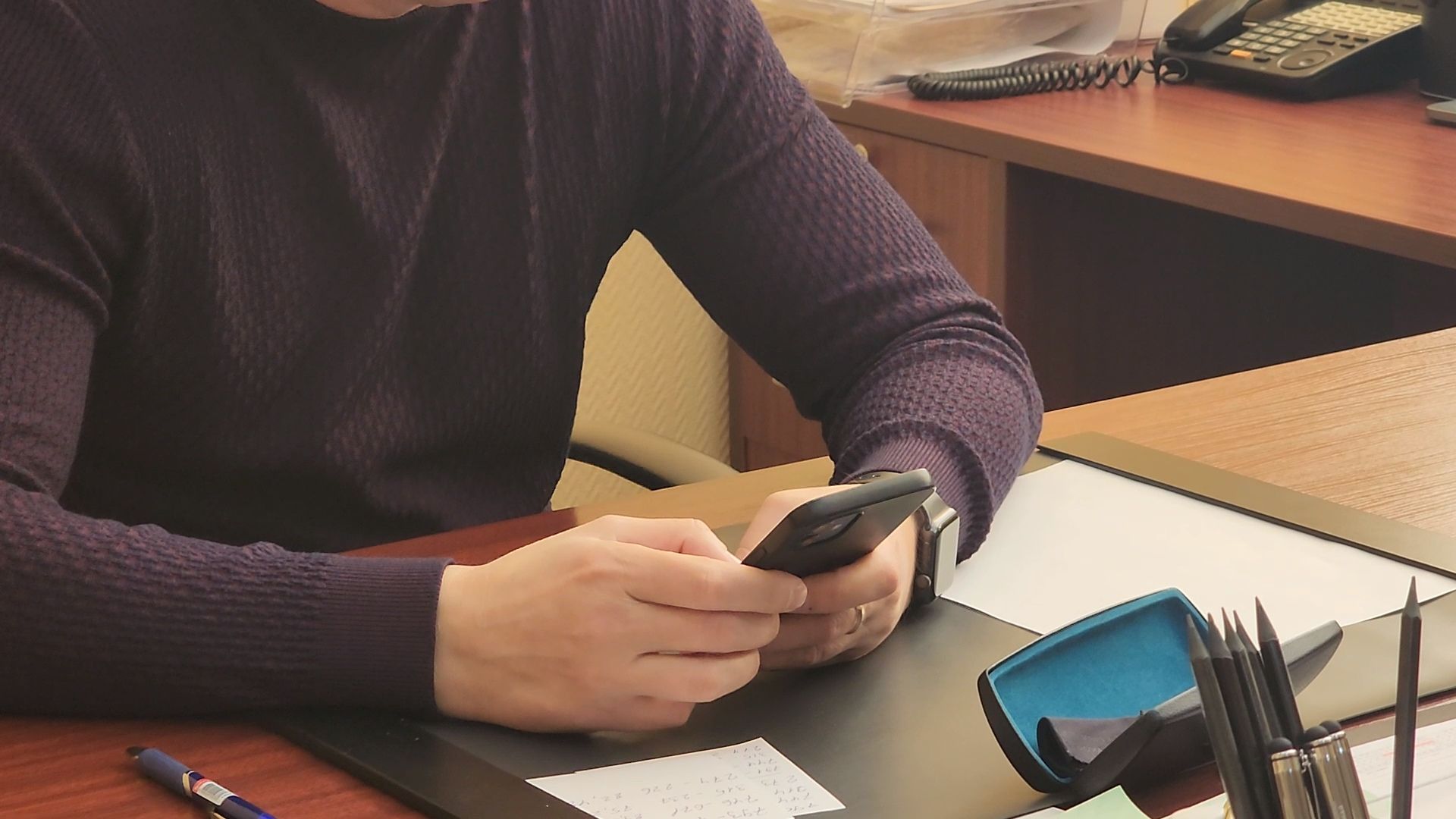 Выборы 2024, Дубна, Дистанционное электронное голосование,