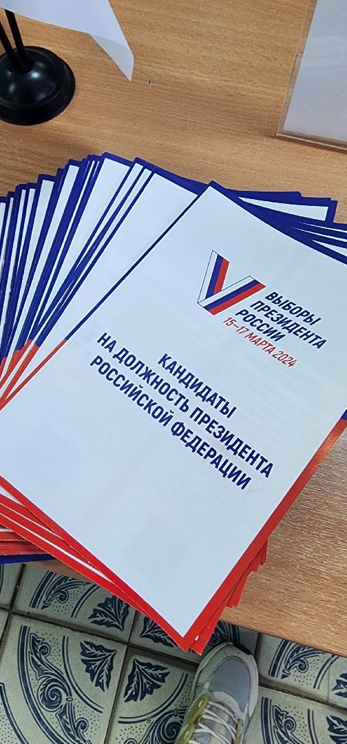 выбооры президента, Большая Шатура, выборы 2024, выборы президента 2024,