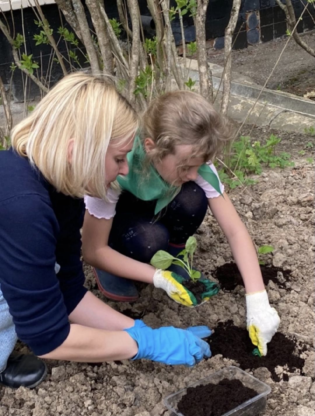 Краснознаменск, экология, Эко-отряд, Гимназия №2, сортировка мусора, утилизация отходов, сбор макулатуры, Анна Мохова