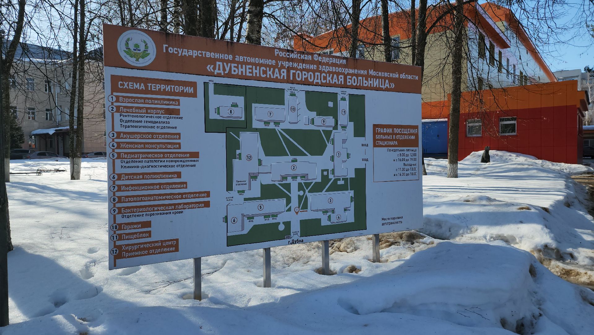 дубненская больница, Гепатит С, Профилактика, Лечение, Врач,