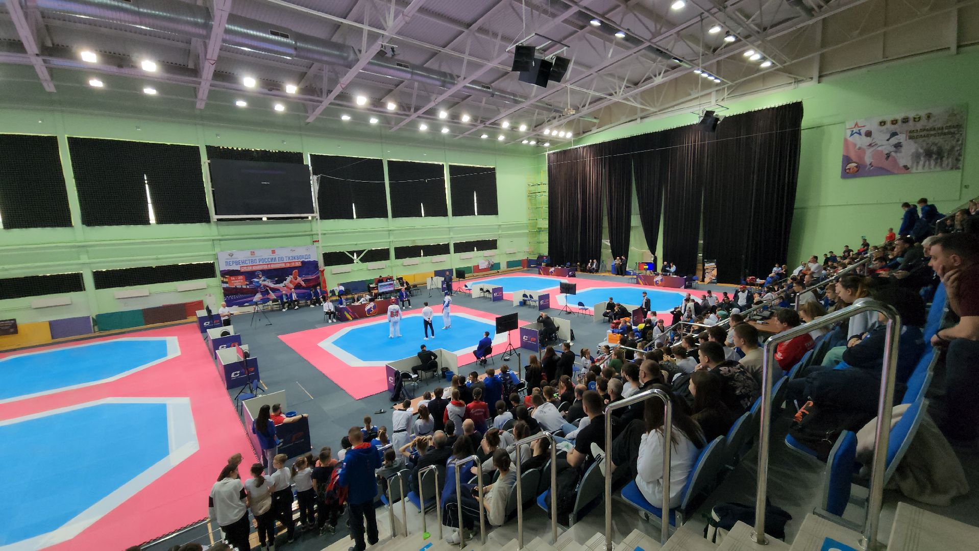 тхэквондо, первенство России, Первенство России по тхэквондо, дввс руза, Руза, рузский городской округ, московская область, спорт, спорт в подмосковье,