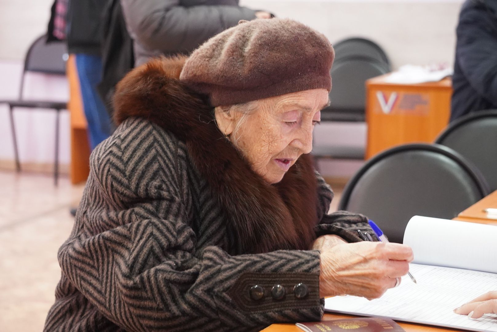 Павловский Посад, Городской округ Павловский Посад, Выборы, Дэг, Избиратели, Люди,