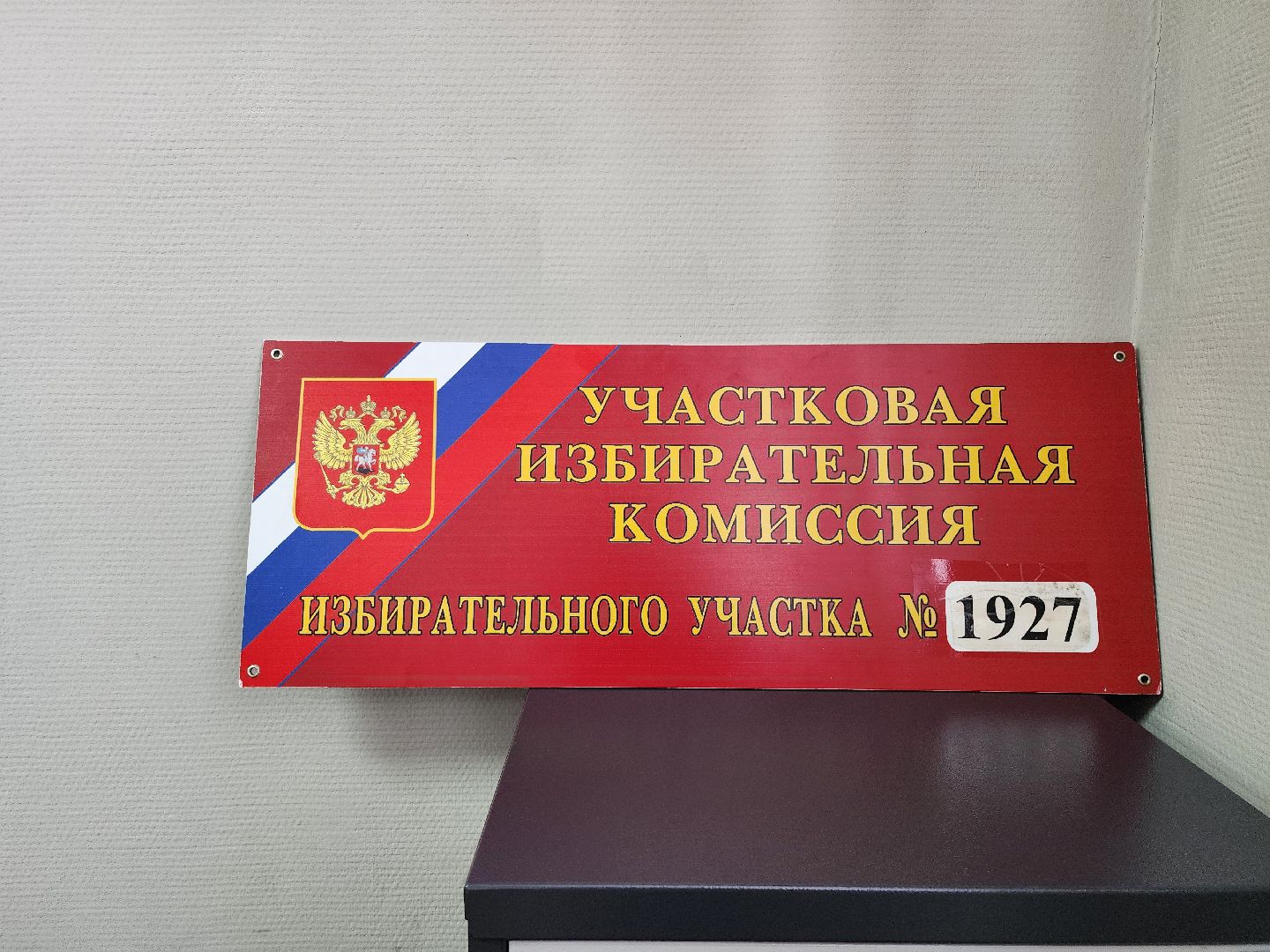 выборы Президента, голосование, избирательная комиссия, Большое Буньково, Богородский городской округ,