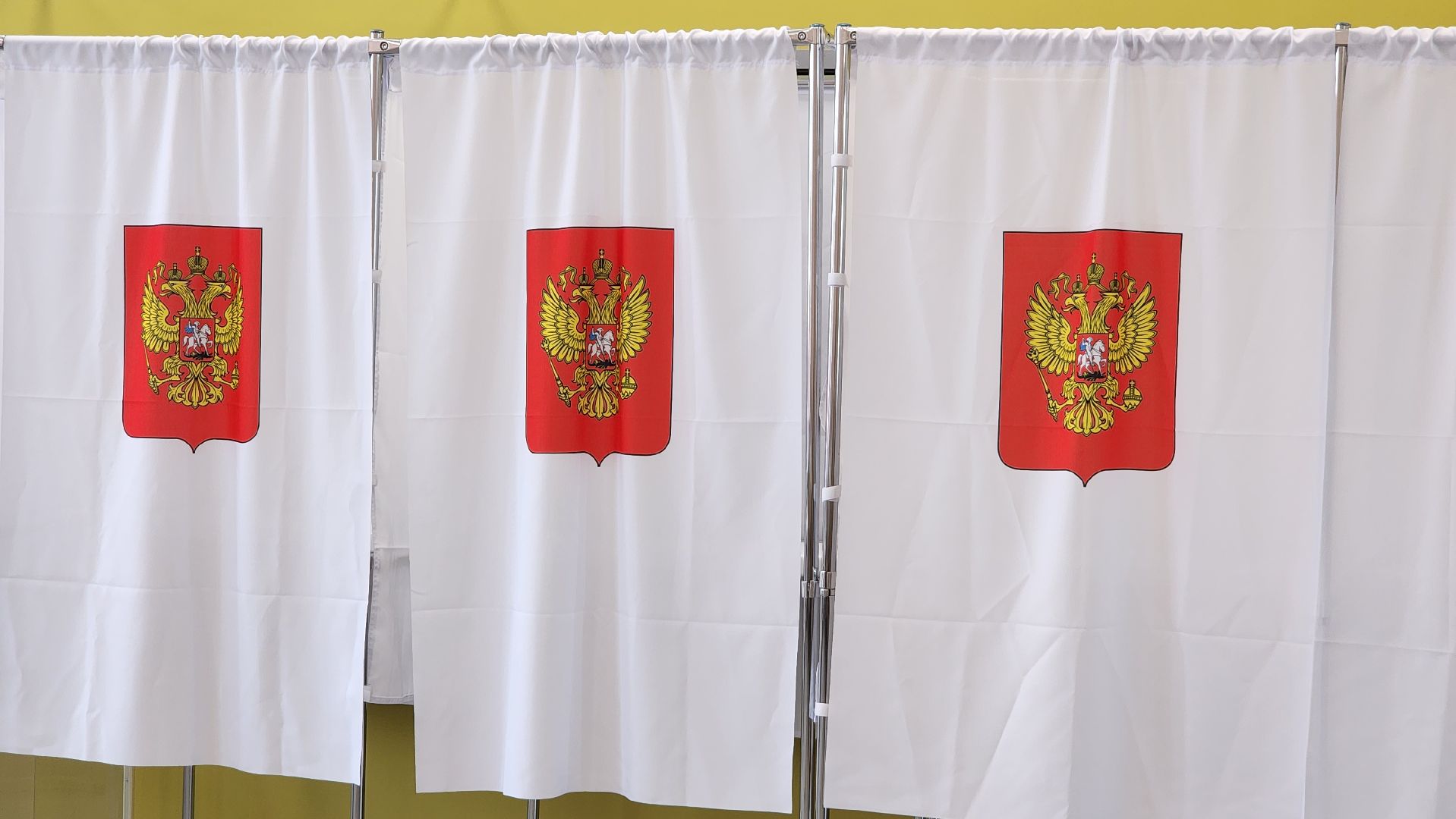 Выборы, Егорьевск, Подмосоквье, выборы президента, Московская область,