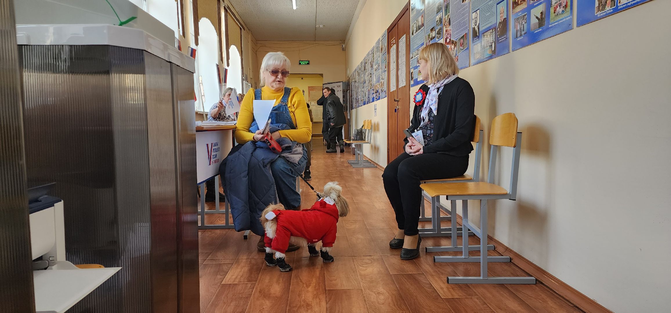 раменское, выборы 2024, дама с собачкой,