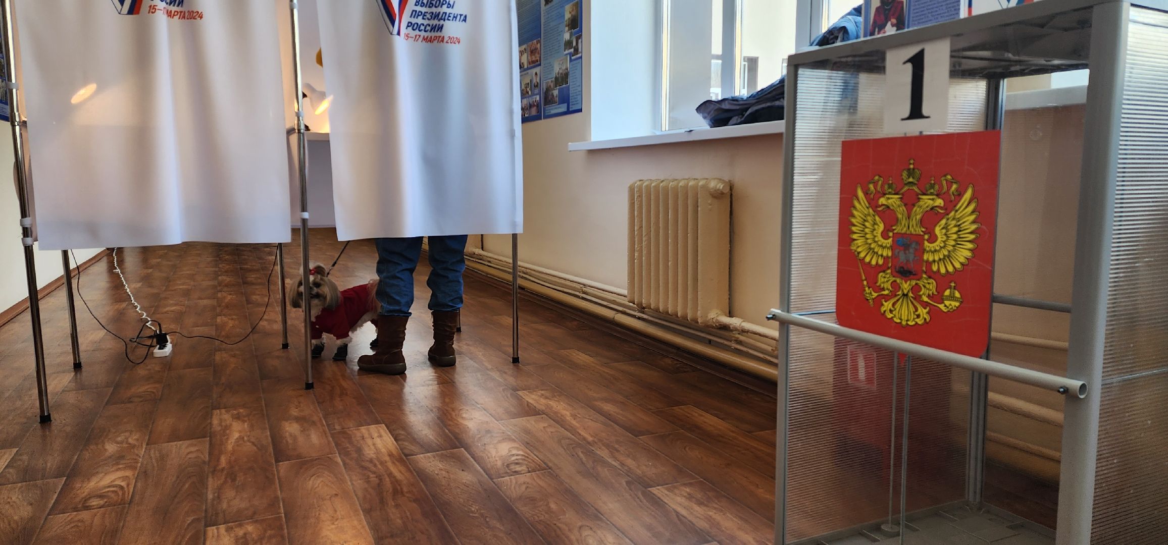раменское, выборы 2024, дама с собачкой,