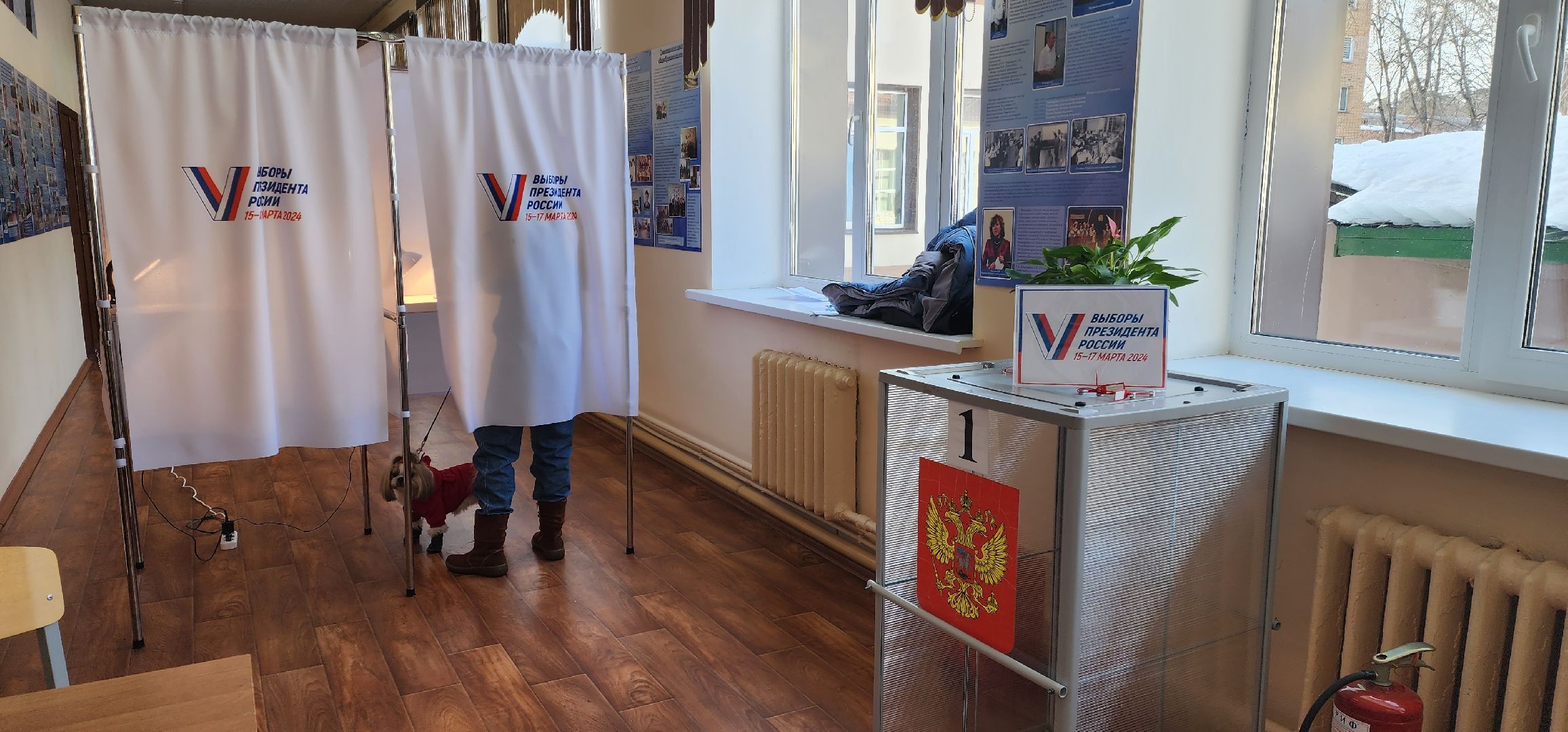 раменское, выборы 2024, дама с собачкой,