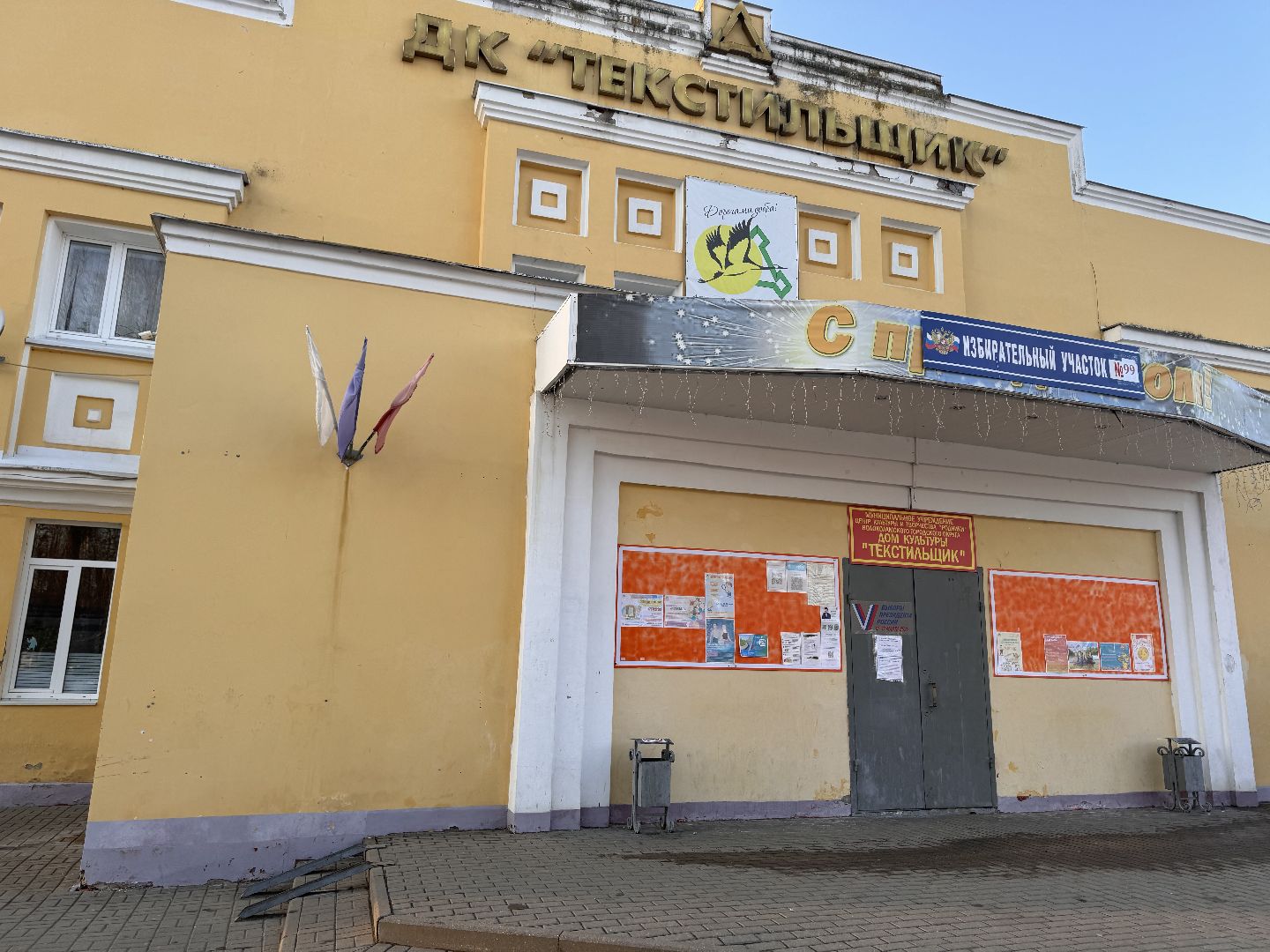 волоколамск, выборы 2024, выборы президента 2024, кошка машка,