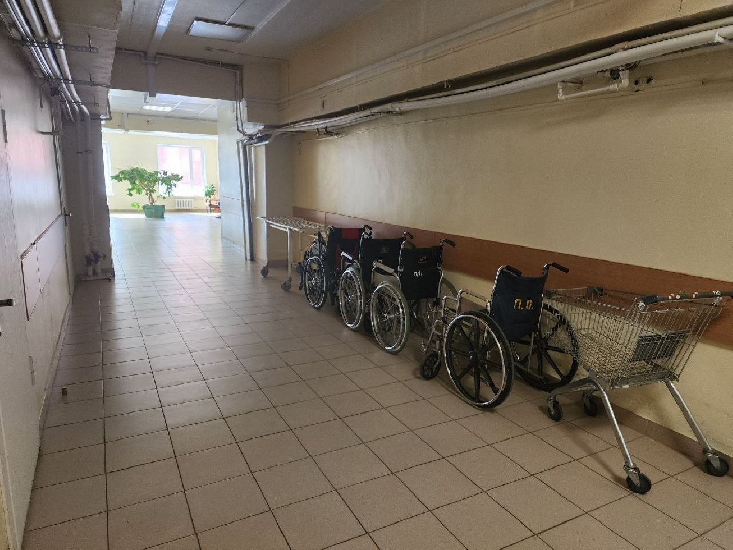 пущино, выборы 2024, выборы, выборы президента, выборы президента 2024, выборы президента россии,